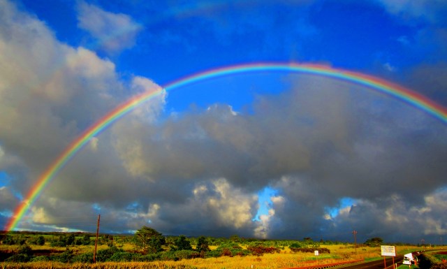 rainbow wall field 3